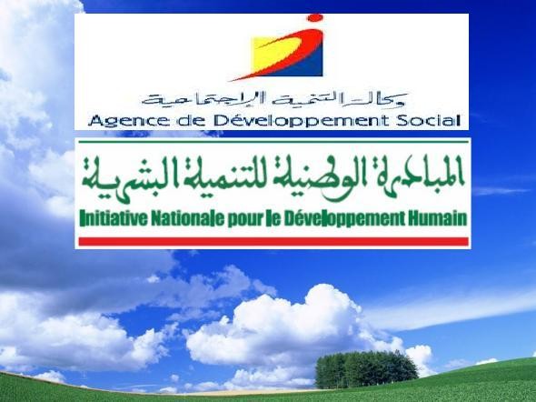 اللجنة الإقليمية للتنمية البشرية لإقليم تينغير:برنــامج «دعـم تنمية سلسلة الزعفـران »