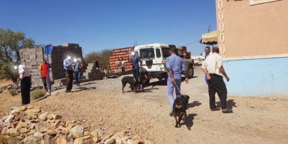المديرية العامة توضح: إطلاق 11 رصاصة لتوقيف “صعصع” زاكورة