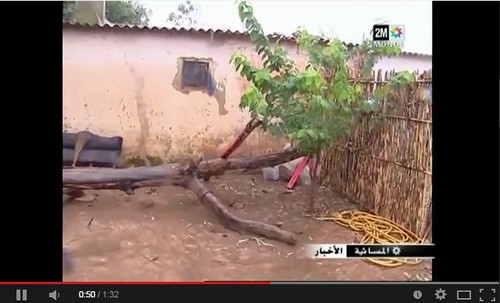 أزرو : ​سقوط شجرة على منزل