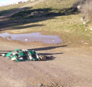 تازناخت :امراة مسنة تفارق الحياة اثر حادثة سير