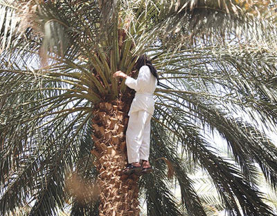 تنغير : جمعية أفانور للتنمية – إعلان