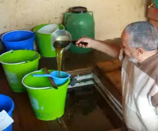 زيت الزيتون يقوي الذاكرة ويحمي من ألزهايمر