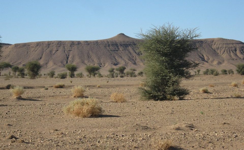 تمازيغت: دار للولادة مجهزة ومقفلة بالجماعة القروية حصيا بإقليم تنغير