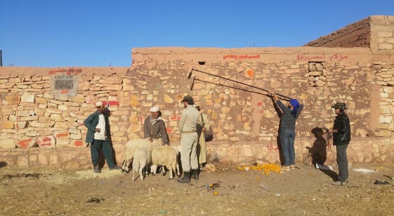 انطلاق تصوير فيلم وثائقي حول المقاوم “زايد أوحماد” بكل من تادافالت، تنغير وأسول