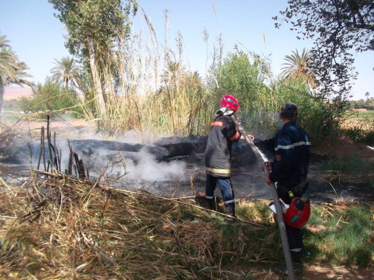 تنغير : رجال الوقاية المدنية يفلحون من إخماد حريق باحد حقول القصب المجاورة لوادي تودغى