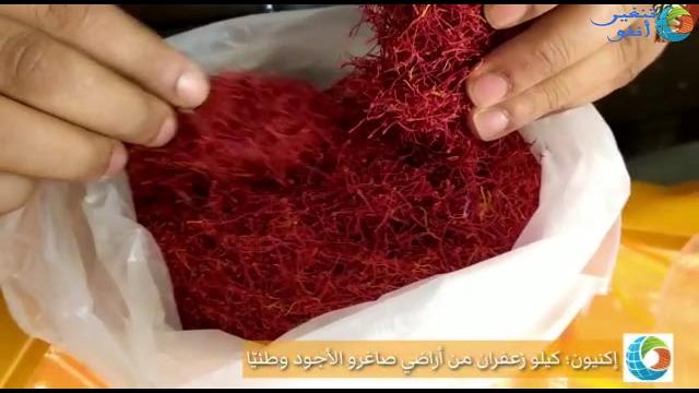 تنغير: الذهب الأحمر بجبال صاغرو