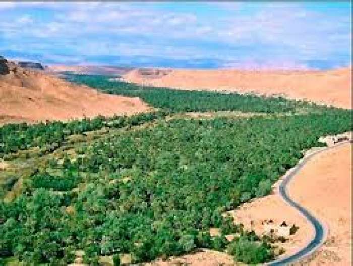 “تنمية الواحة حلم أمل ومسؤولية” .. شعار الدورة الثانية لمهرجان واحة فركلة بتنجداد باقليم الرشيدية