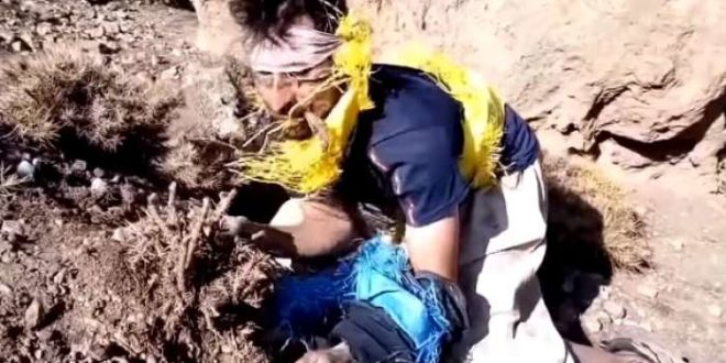 لعب دراري … توقيف مصوري فيديو ل”ظهور أنسان غريب بإملشيل