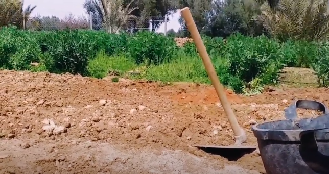 منهم مرشدون وسائقون سياحيون تحولوا إلى مهن مختلفة بفعل كورونا