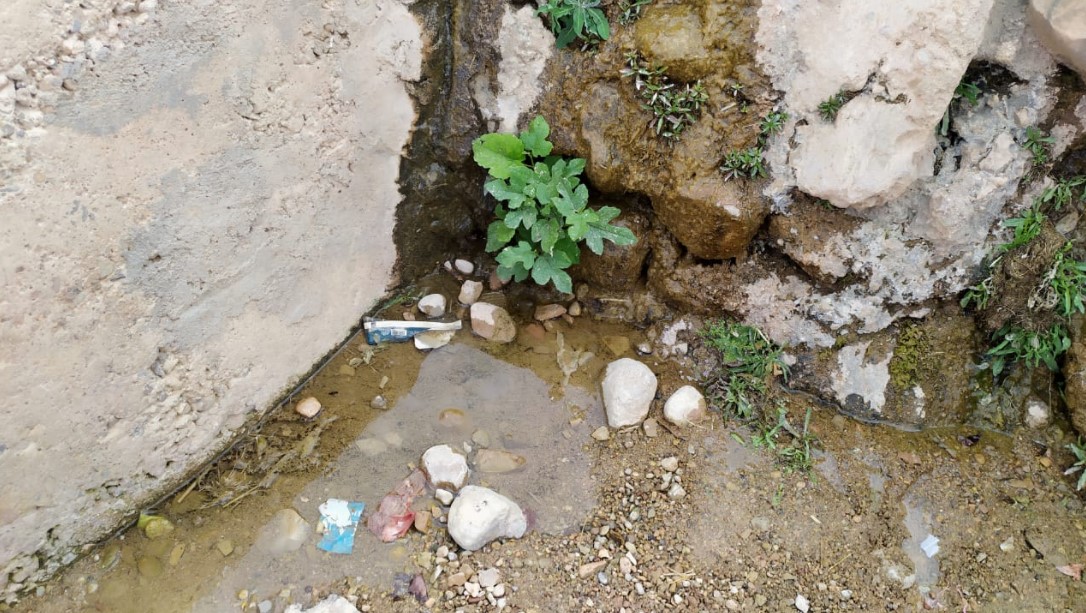 بومالن دادس .. عين أقانوس تواجه خطر التلوث والإهمال