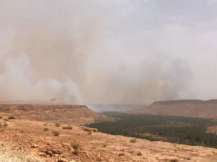 صور..جهود متواصلة للسيطرة على حريق بواحة القصر الجديد باوفوس وطائرة كانادير تشارك في اخماده