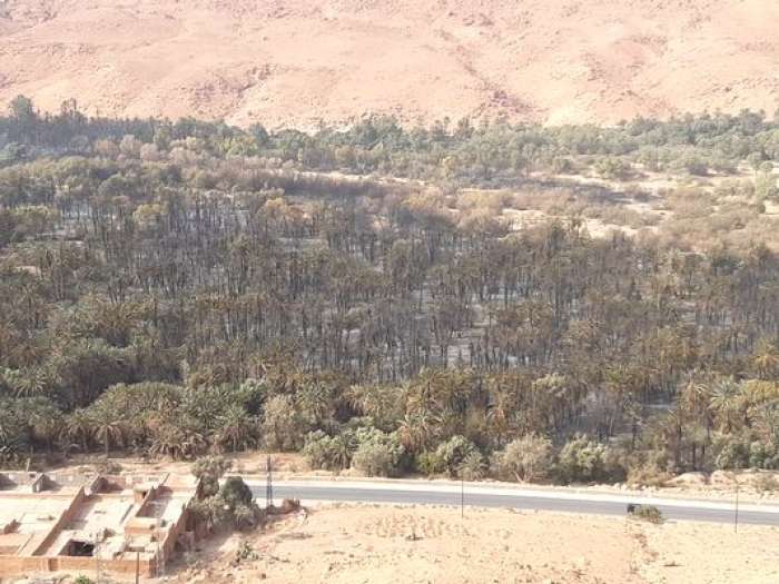 الرشيدية ..نجاح السيطرة على حرائق واحة اوفوس + فيديو