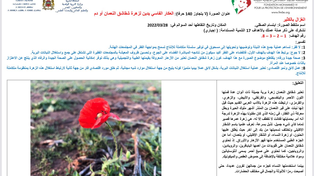 برشيد..تلاميذ نادي البيئة والصحة بالثانوية التأهيلية اولاد احريز يشاركون في مسابقة الصحفيين الشباب