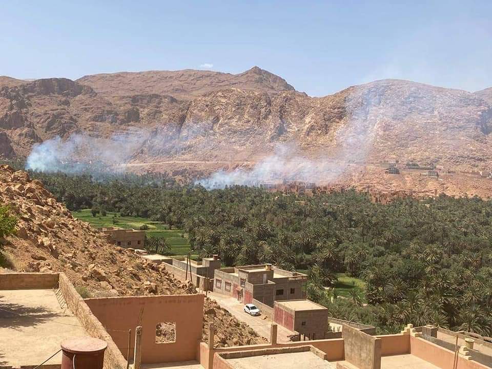 حريق جديد بواحة ايت سنان يلتهم العشرات من اشجار النخيل