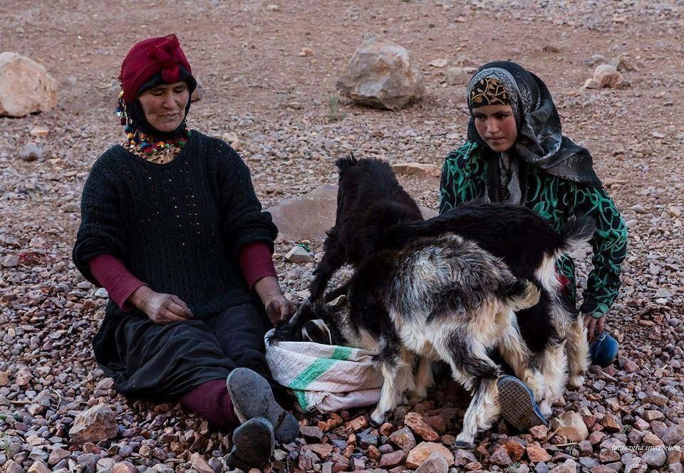 أوفوس تحتضن مؤتمرا حول ريادة الأعمال لدى النساء الواحاتية
